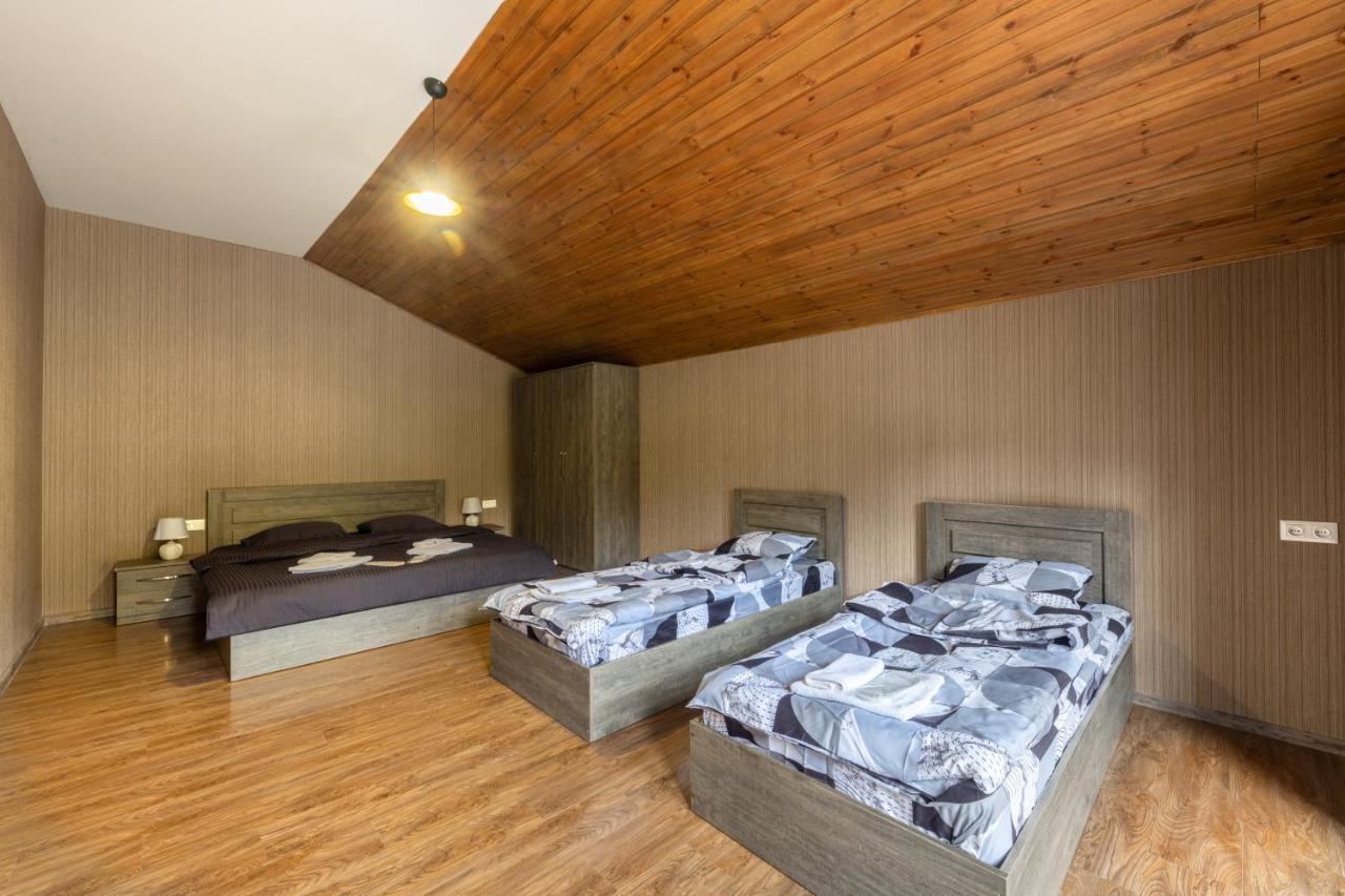 - Didveli Residence Lux Apartments - Бакуріані Екстер'єр фото