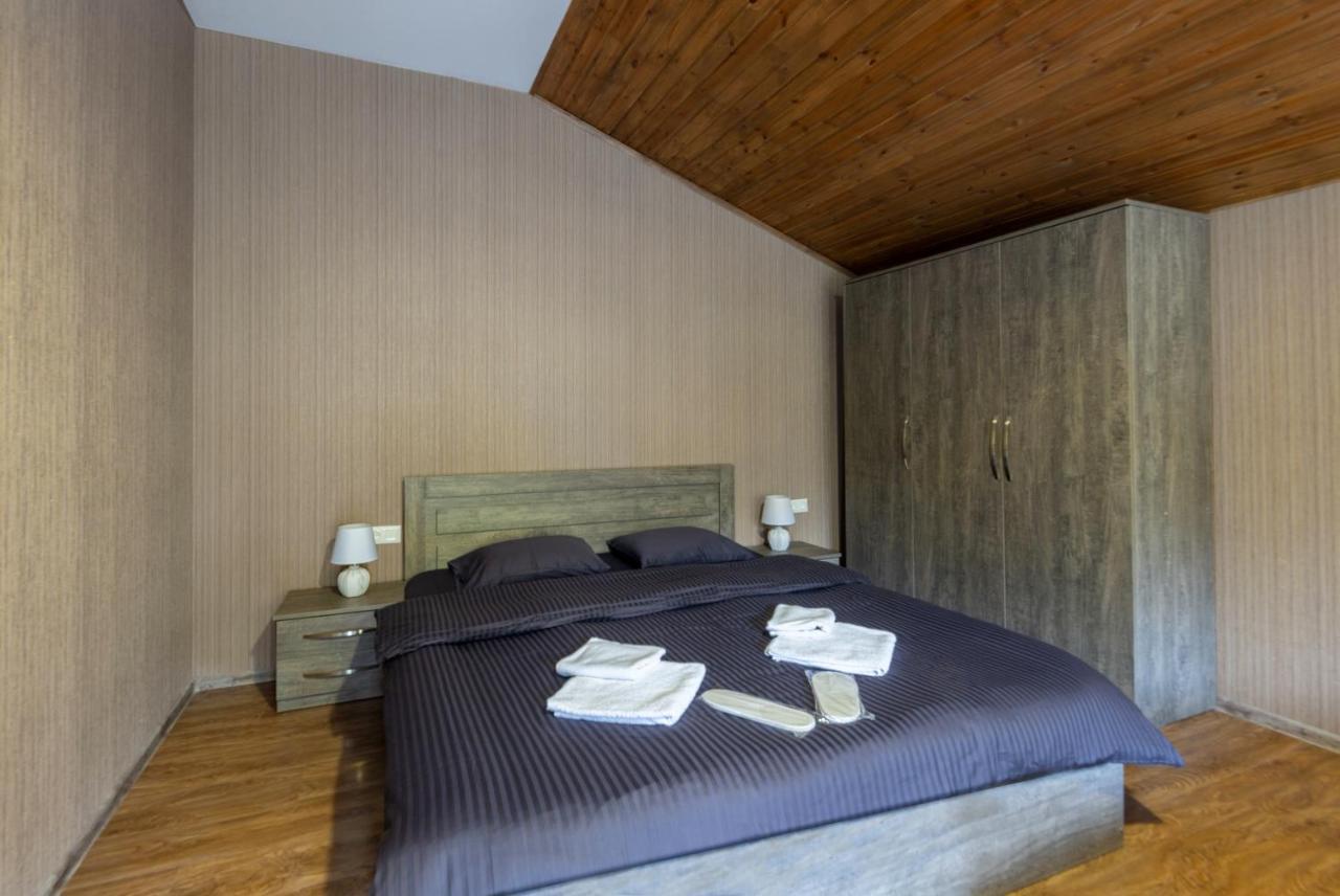- Didveli Residence Lux Apartments - Бакуріані Екстер'єр фото