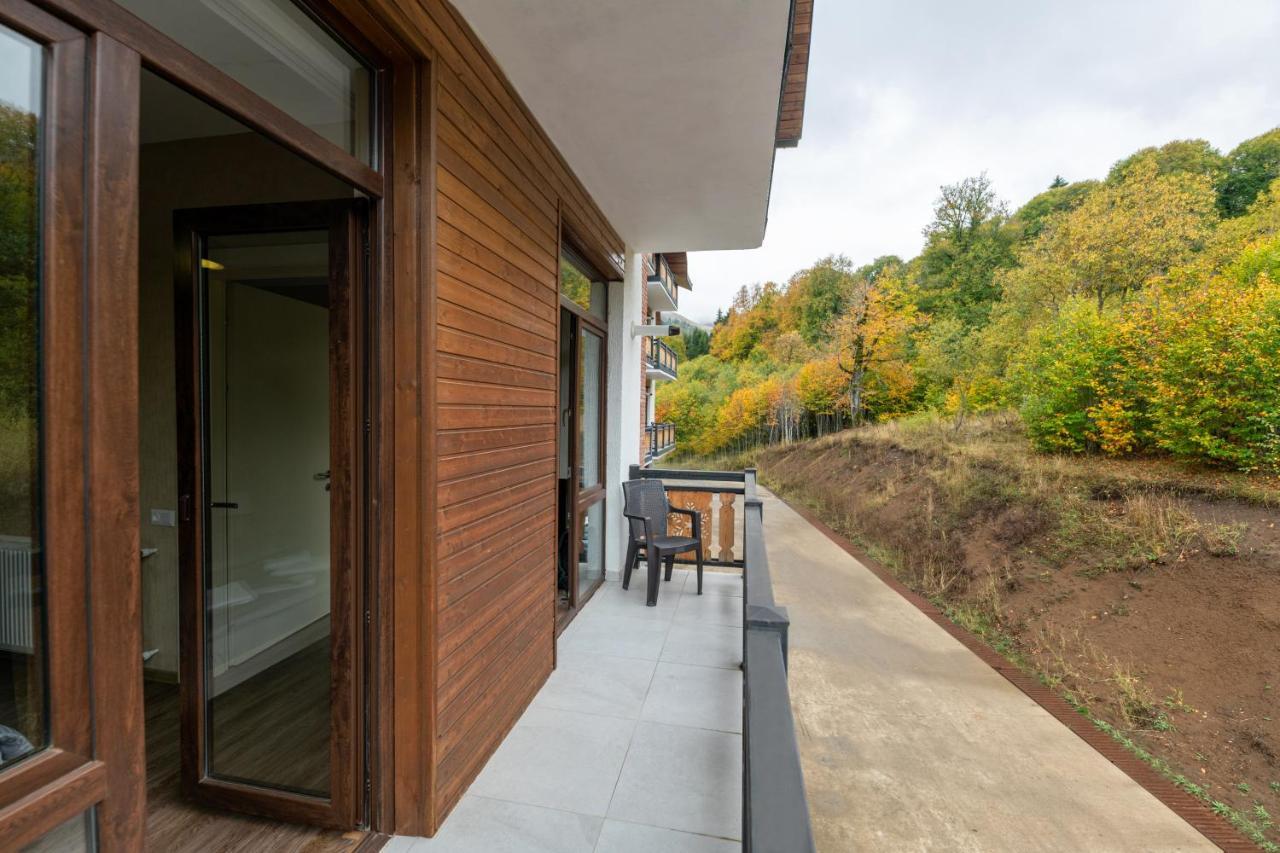 - Didveli Residence Lux Apartments - Бакуріані Екстер'єр фото