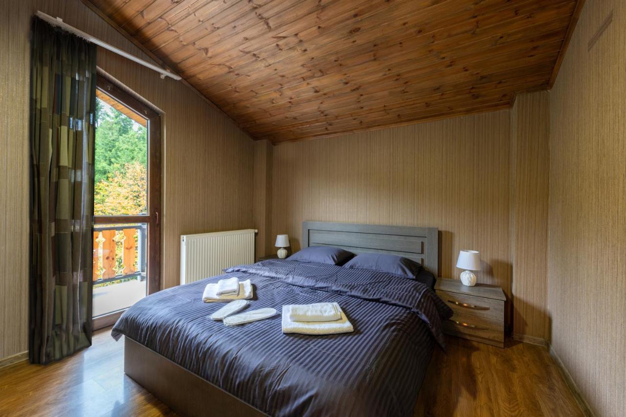 - Didveli Residence Lux Apartments - Бакуріані Екстер'єр фото