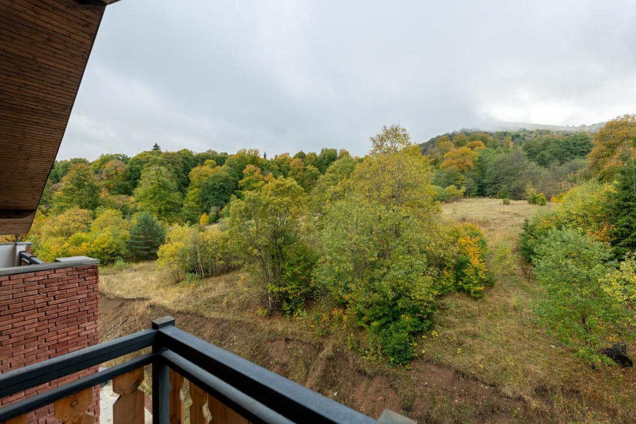- Didveli Residence Lux Apartments - Бакуріані Екстер'єр фото